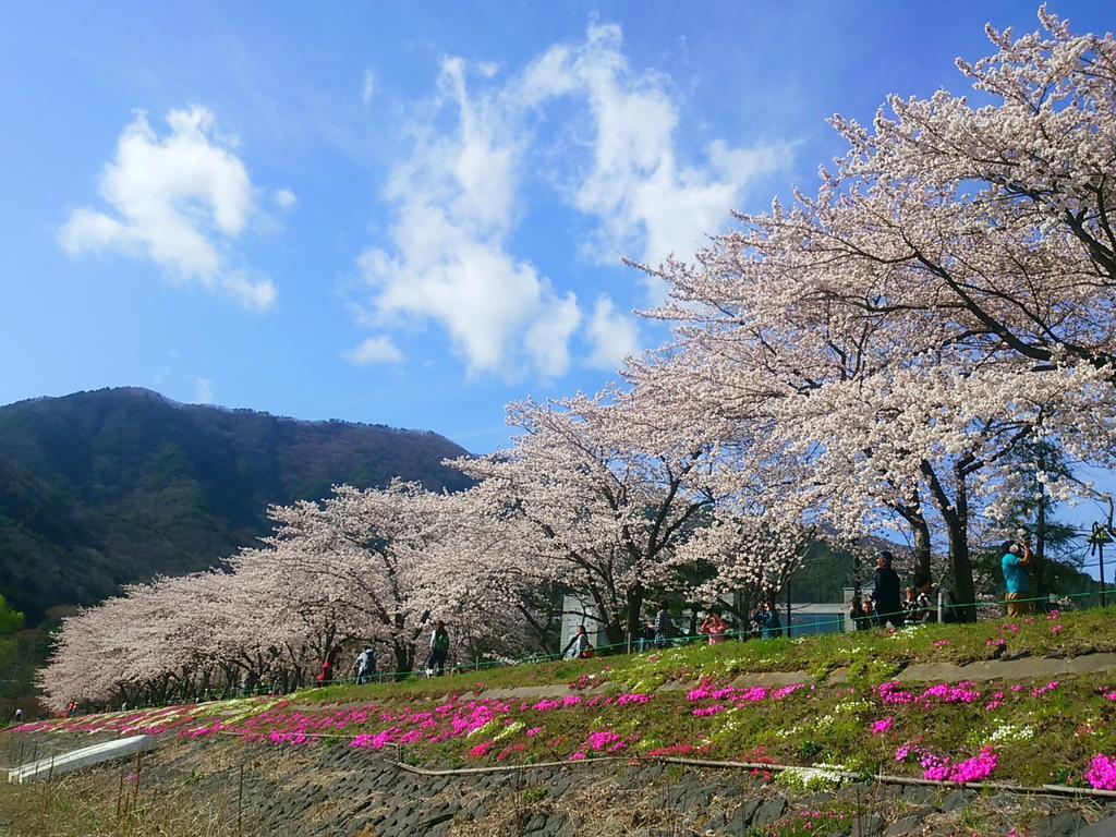 โรงแรมเลคแลนด์ มิซุโนะซาโตะ ฟูจิคาวากุจิโกะ ภายนอก รูปภาพ